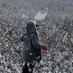 Meet your Posher, Nina